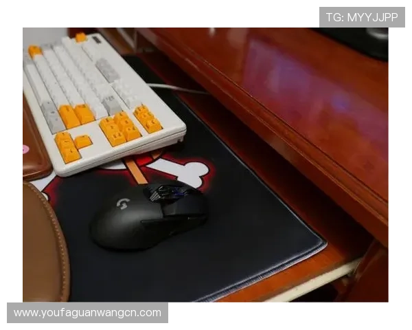 og视讯平台官网提供丰富的优惠活动和优质的游戏资源，助你轻松赢取大奖